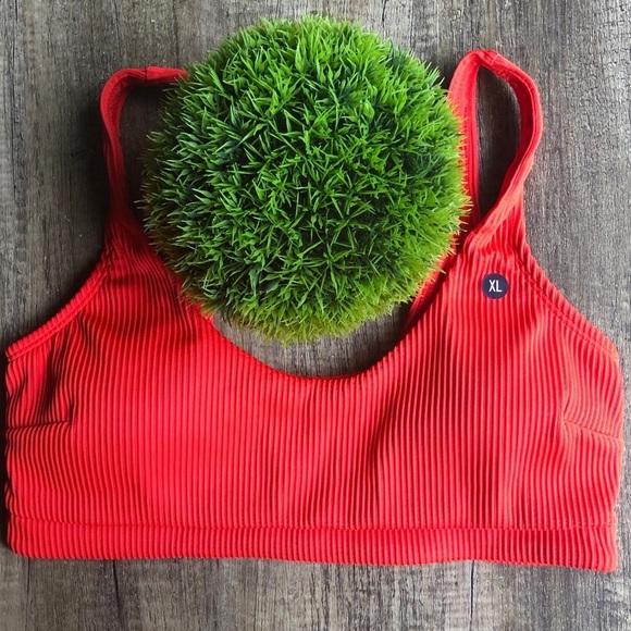 Hollister orange shelf bikini top XL NWT - Picture 3 of 6